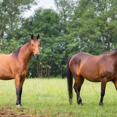 호텔 Moulin Du Val De Seugne Mosnac (Charente-Maritime)